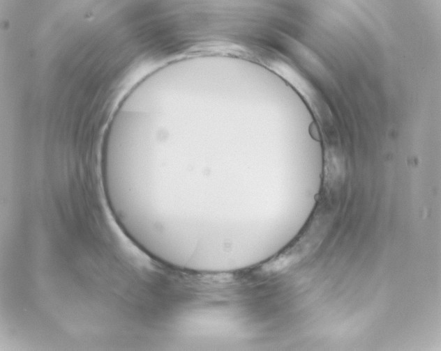 X0000088201055200706051227