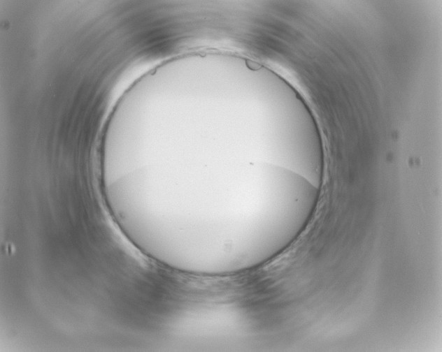 X0000088201056200706051227