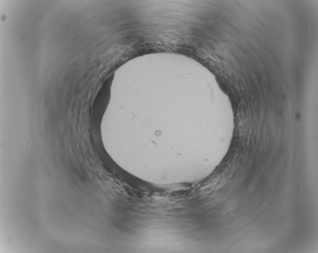 X0000088201057200706051226