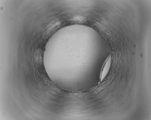 X0000088201058200706051226