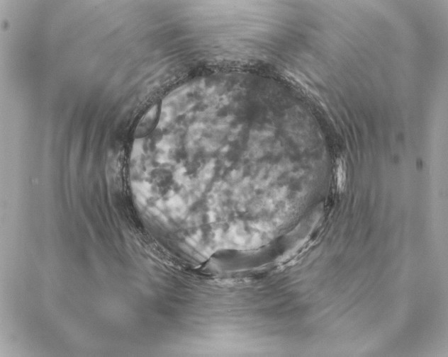 X0000088201059200706051226