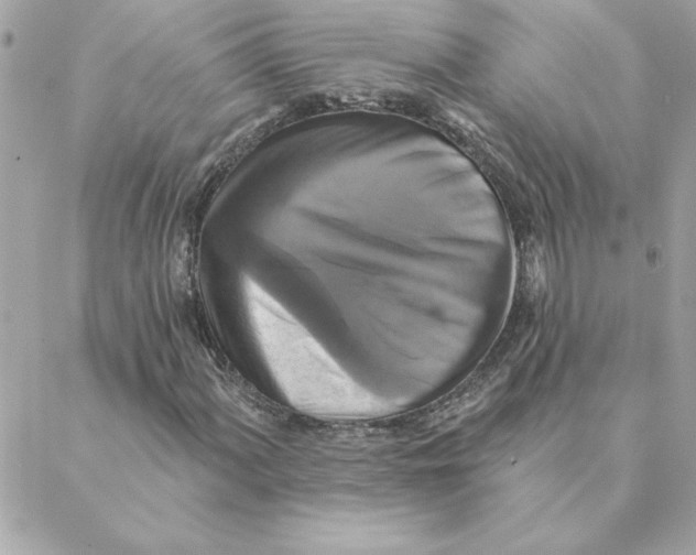 X0000088201060200706051226