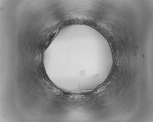 X0000088201061200706051226