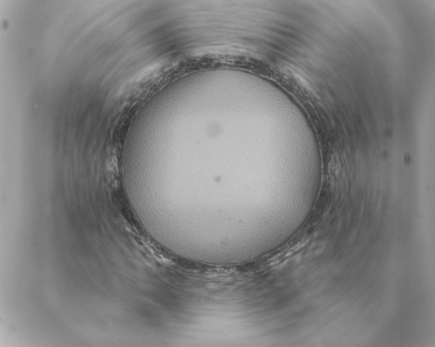 X0000088201062200706051226