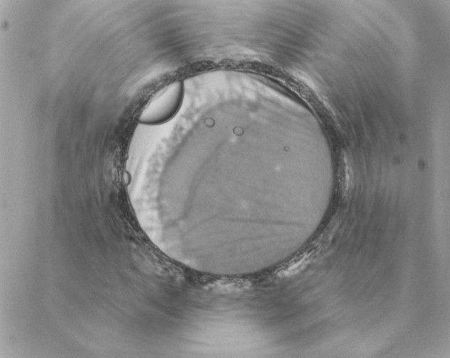 X0000088201063200706051226