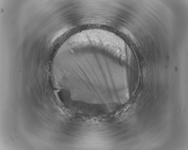 X0000088201064200706051226