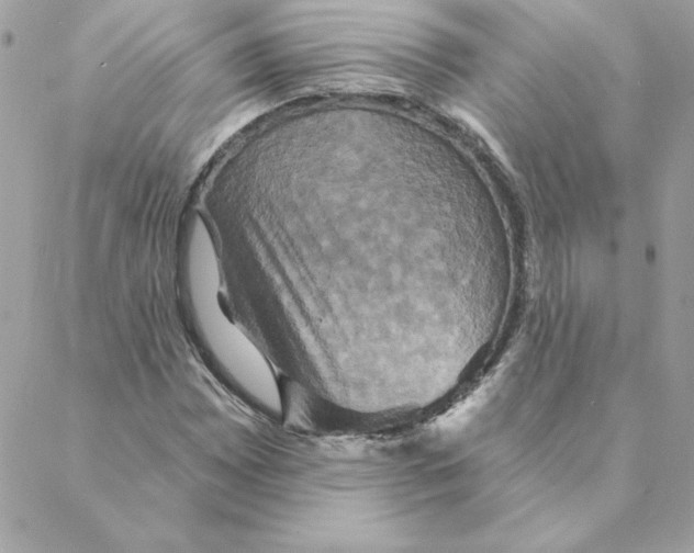 X0000088201065200706051226