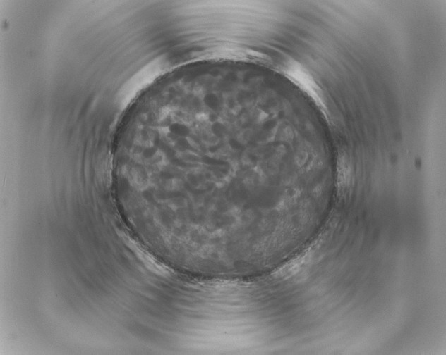 X0000088201067200706051226