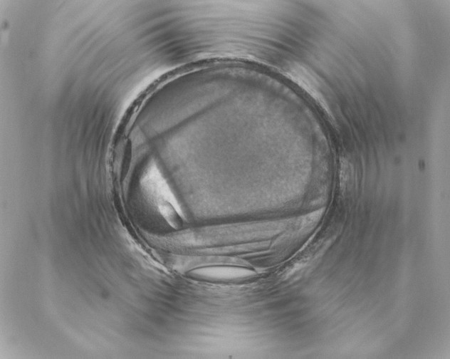 X0000088201068200706051226