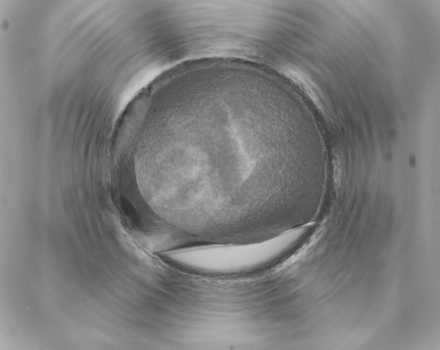 X0000088201069200706051226