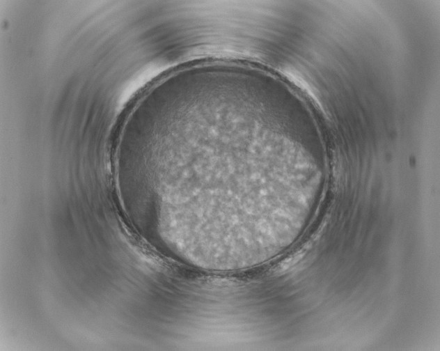 X0000088201070200706051226