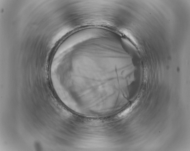 X0000088201071200706051226