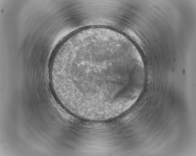 X0000088201072200706051226