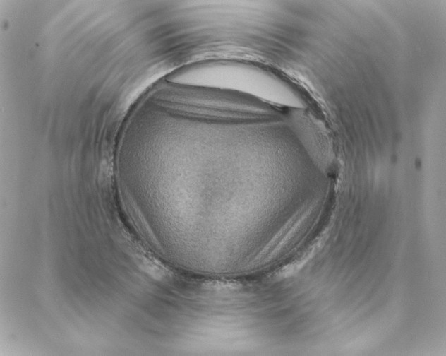 X0000088201073200706051226