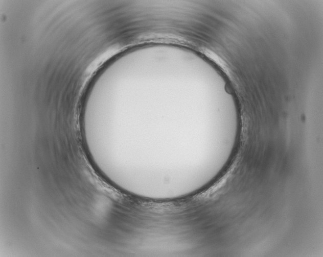 X0000088201074200706051226