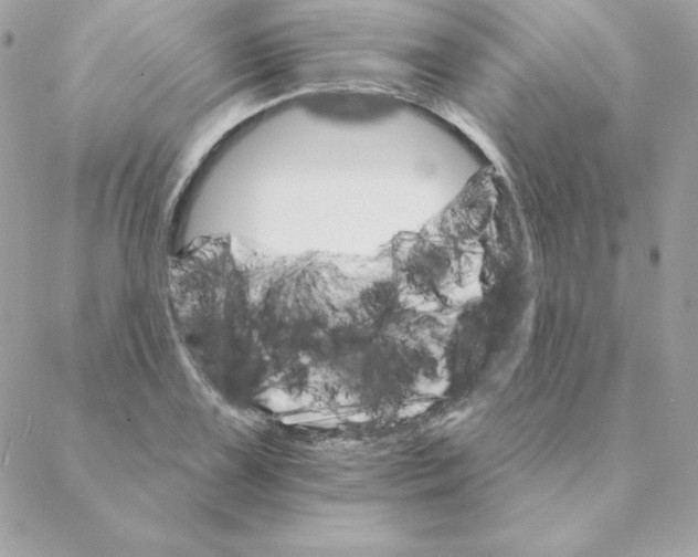 X0000088201075200706051226