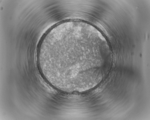 X0000088201076200706051226