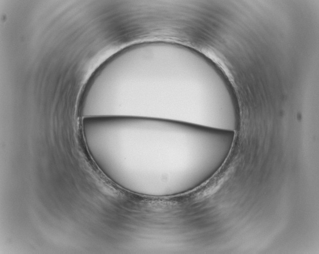 X0000088201077200706051226