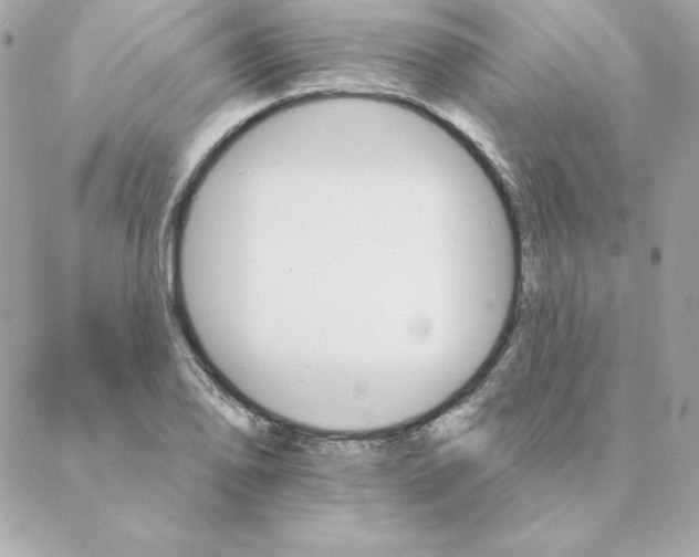 X0000088201078200706051226