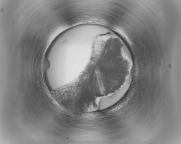 X0000088201079200706051226