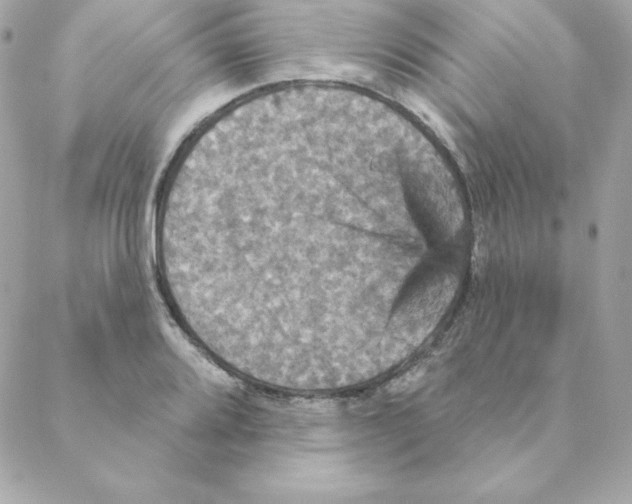 X0000088201080200706051226