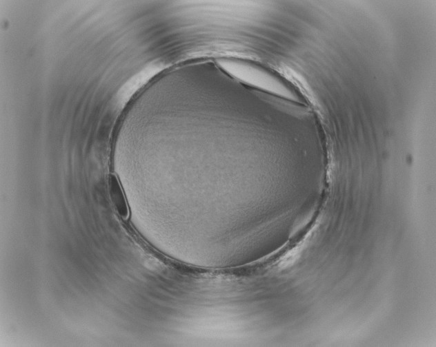 X0000088201081200706051226