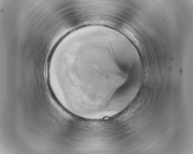 X0000088201084200706051226