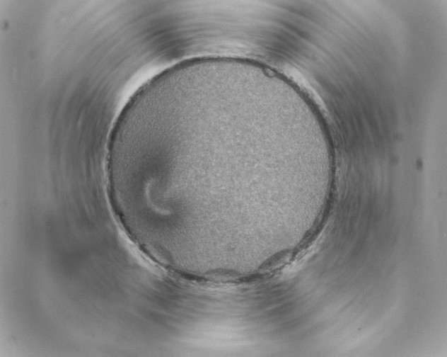 X0000088201085200706051226