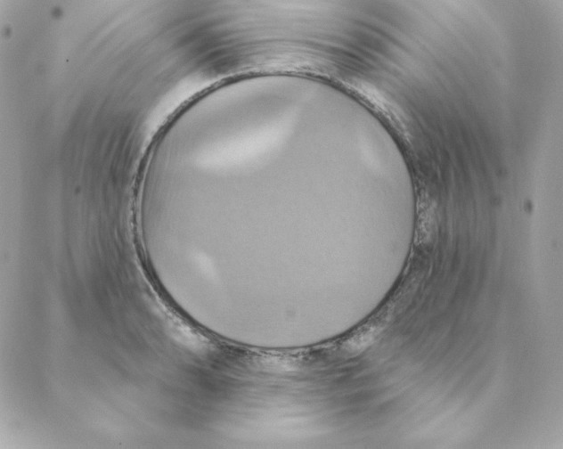 X0000088201086200706051226