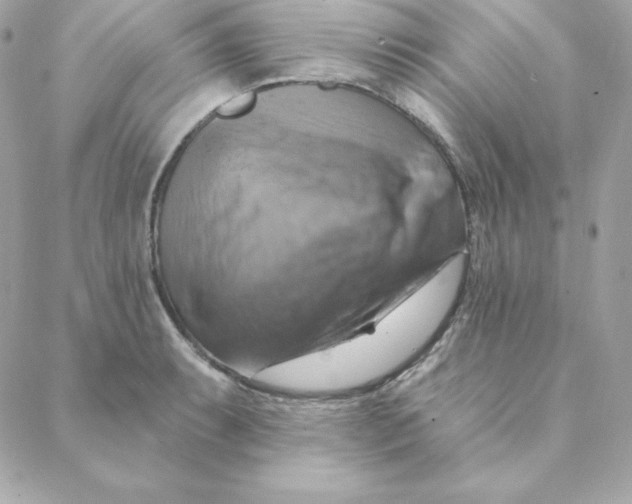 X0000088201087200706051226