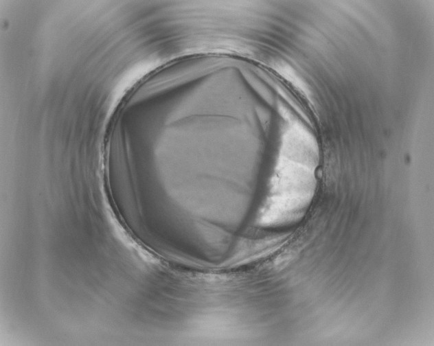 X0000088201088200706051226