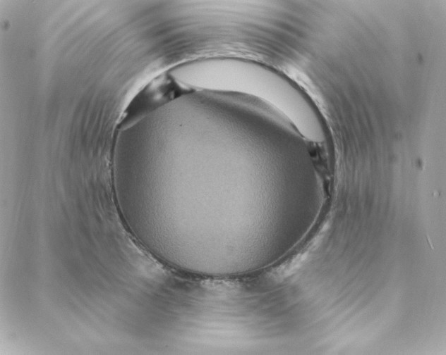 X0000088201089200706051226