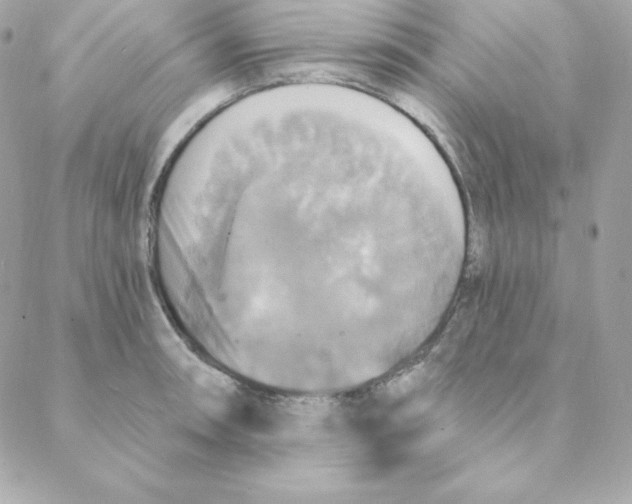 X0000088201090200706051226