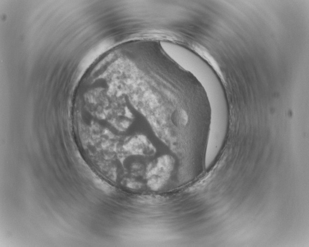 X0000088201091200706051226