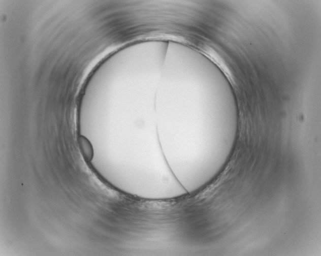 X0000088201092200706051226