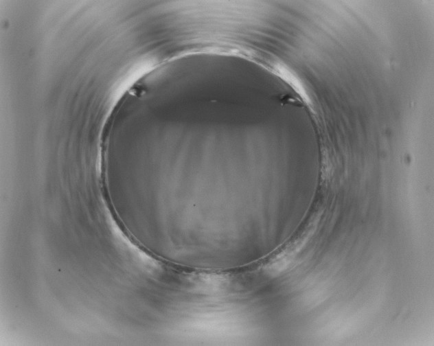 X0000088201095200706051226