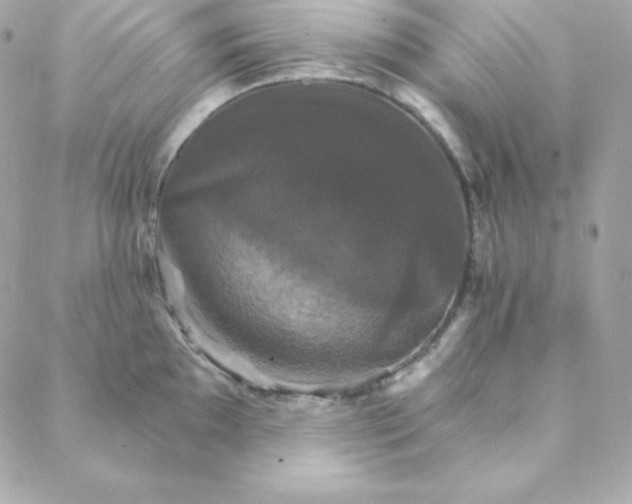 X0000088201097200706051225