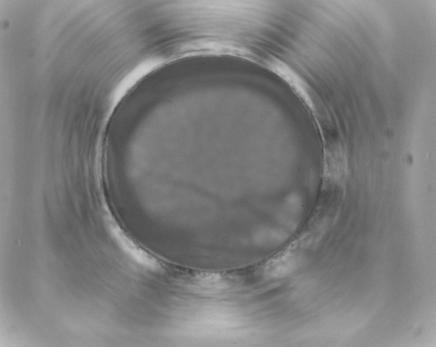 X0000088201098200706051225