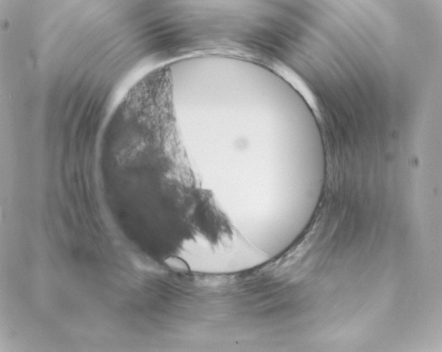 X0000088201099200706051225