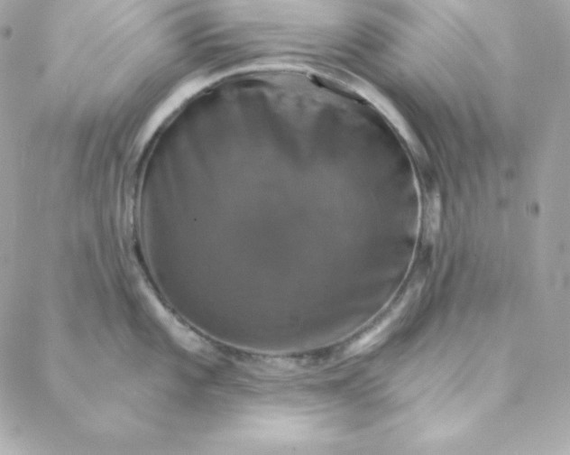 X0000088201101200706051225