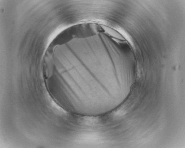 X0000088201102200706051225