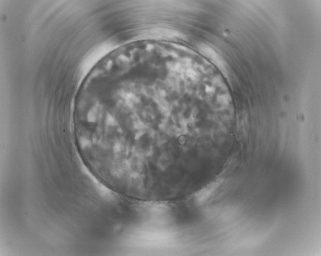 X0000088201103200706051225