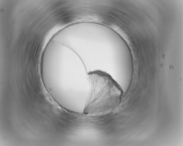 X0000088201104200706051225