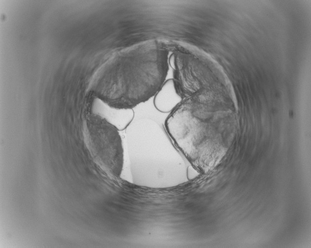 X0000088201105200706051225