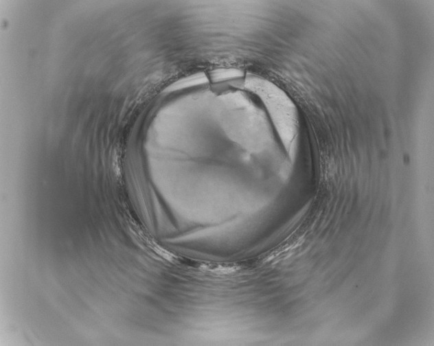 X0000088201106200706051225