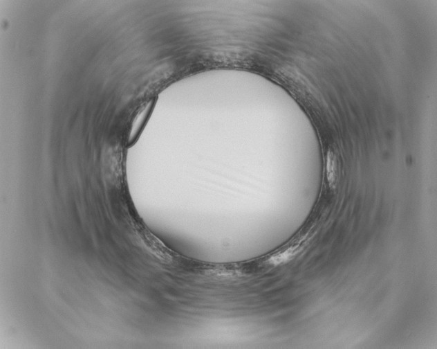 X0000088201107200706051225