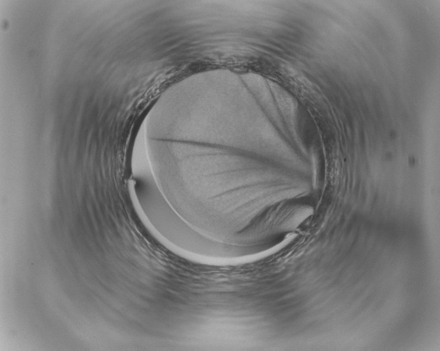 X0000088201108200706051225