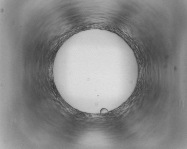 X0000088201109200706051225