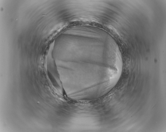 X0000088201110200706051225