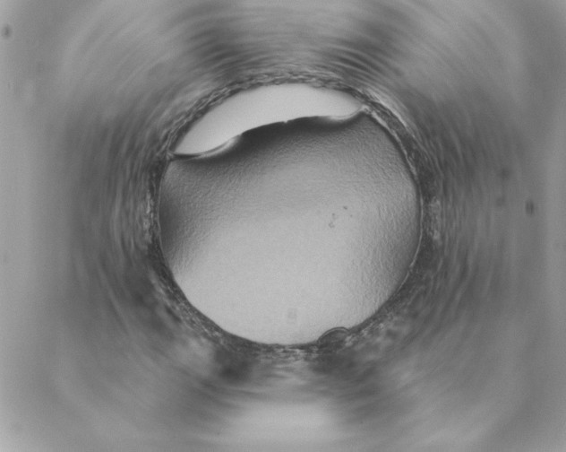 X0000088201111200706051225